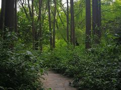-共青国家森林公园-售票处
