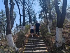 -莫干山风景区