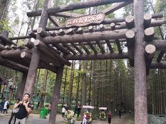 -黄海国家森林公园