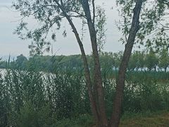 -野鸭湖国家湿地公园