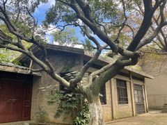 -虞山风景区