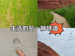 -波浪谷