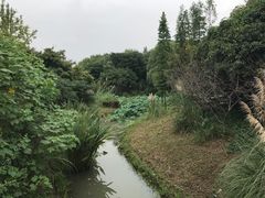 -昆山城市生态森林公园