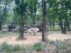 -秦皇岛野生动物园