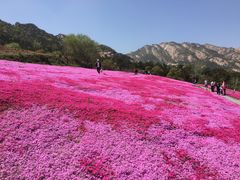-昆嵛山石门里景区