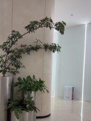 -AIST爱思特医疗美容医院