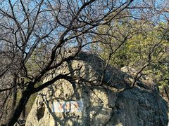 -阳台山自然风景区