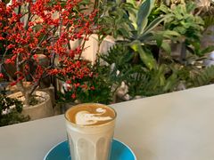 -Seesaw Coffee(深圳万象天地店)