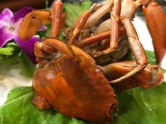 -友强·23年特色海鲜大排档(厦门店)