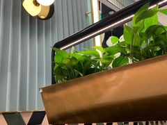 -曼玉餐厅(中原万达店)