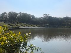 -东莞植物园