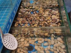 -星伦多自助料理(爱琴海店)