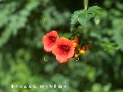 -浙江大学医学院附属第二医院(解放路院区)