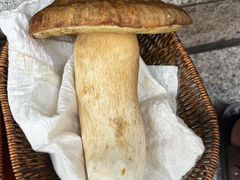 -草墩罗非鱼庄•野生菌•腊排骨(七星街上段店)