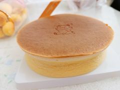 芝士蛋糕-幸福鸟动物奶油生日蛋糕(军校店)
