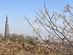 -浙江西湖美术馆