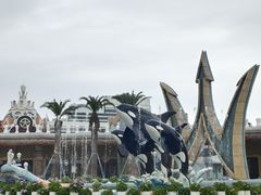 -上海海昌海洋公园