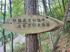-齐岳山