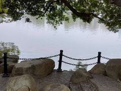 -东山湖公园