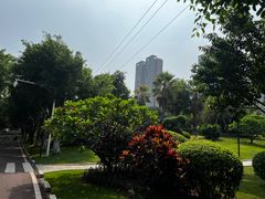 -五缘湾湿地公园