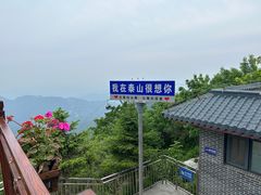 -泰山风景名胜区