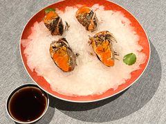 -柿合缘新京菜(静安嘉里中心店)