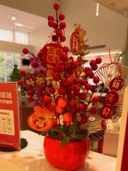 -上海时光整形外科医院