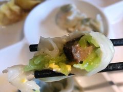 黄瓜鸡蛋海参水饺-开海·红岛海鲜虾水饺(石老人店)