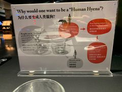 -现代汽车文化中心 Hyundai Motorstudio Beijing