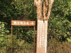 -周大娘牛乳(旧寨古村总店)