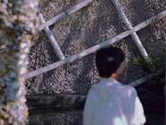 -凤翔首邑温泉度假村