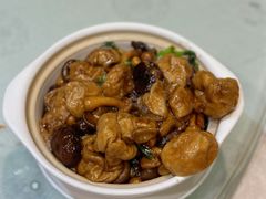 双菇面筋煲-石湖大酒店(桐泾店)