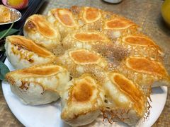 羊肉煎包-大张烙馍村(三环南路旗舰店)