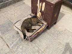 -终南山南五台景区