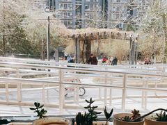 -Cafe Villa