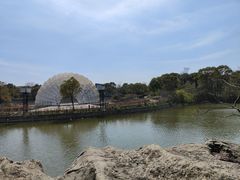 -上海吴淞炮台湾国家湿地公园