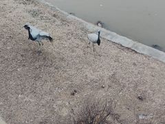 -无锡动物园·太湖欢乐园