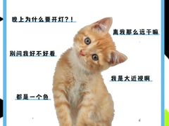 -申普宠物医院(总院)
