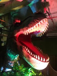 -恐龙探索乐园(磁器口店)