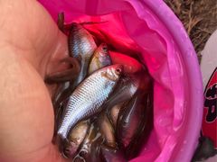 -蓝天路(地铁站)