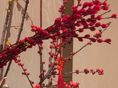 -彩丰楼·中餐厅(国家会展中心上海洲际店)
