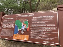 -北京十三陵国家森林公园蟒山景区