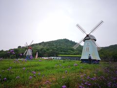-东海半边山旅游度假区