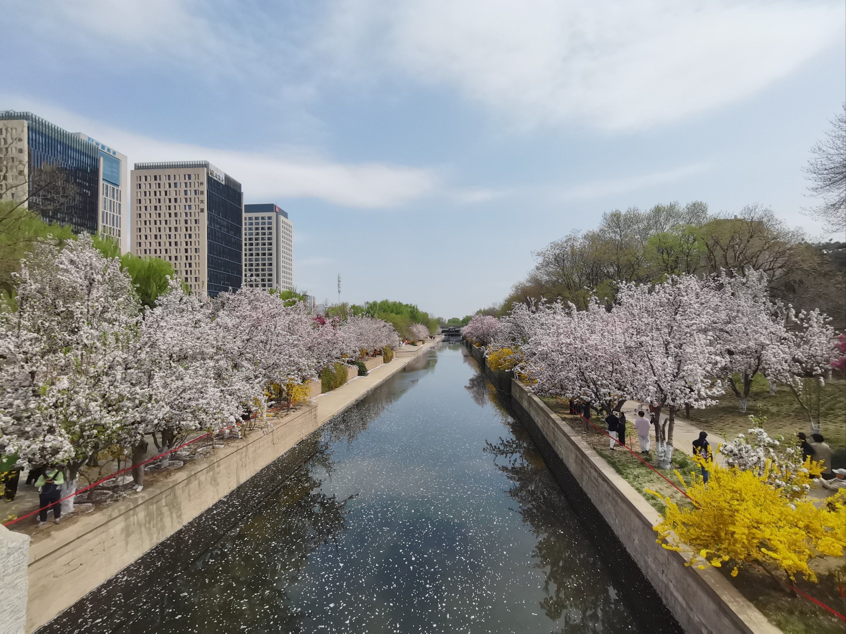 一期一会的元大都海棠花溪