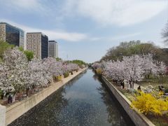 -元大都城垣遗址公园