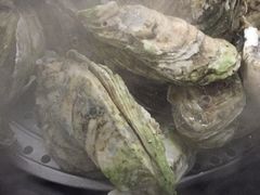 -蚝专家(北滘店)