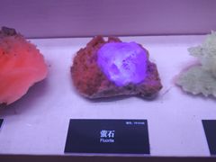 -湖南省地质博物馆