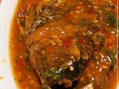 -金塔傣乡·云南民族特色菜·傣味手抓饭(金瓦路店)