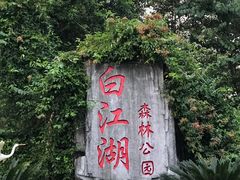 -广州白江湖森林公园