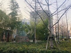 -活水公园